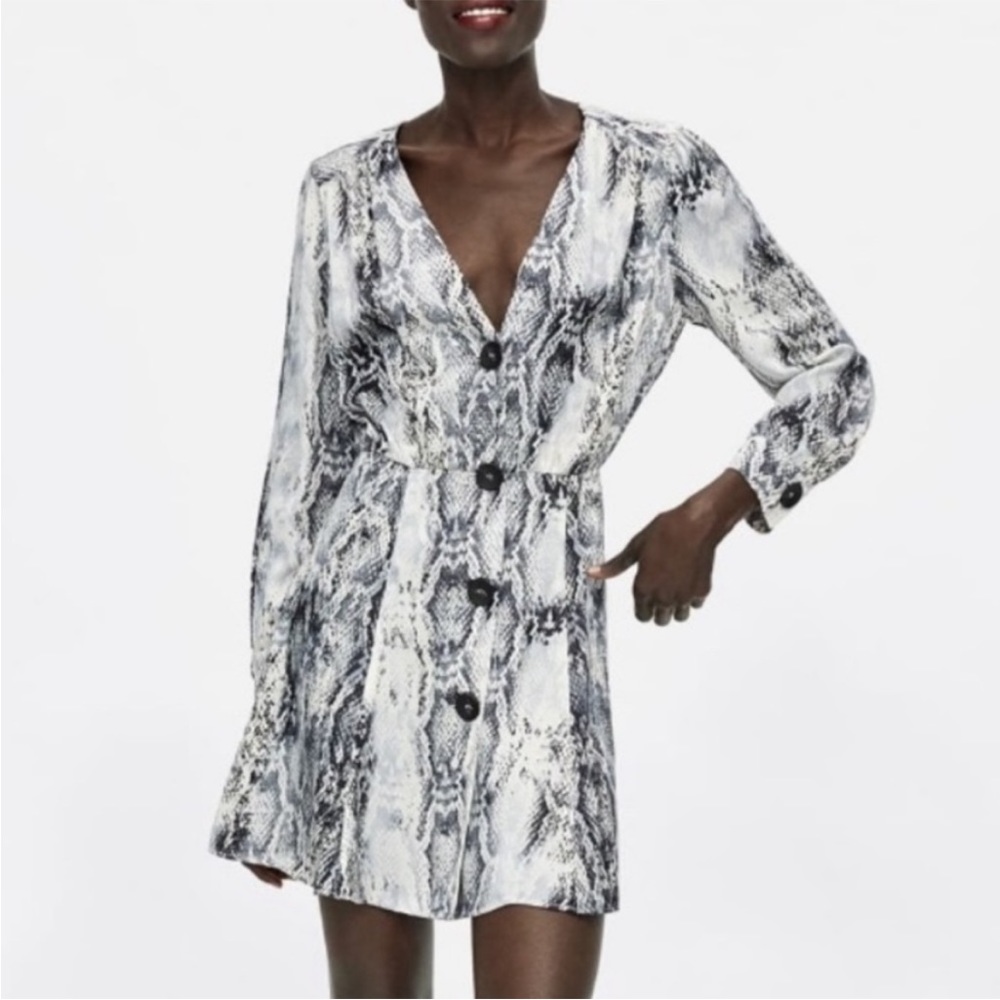 Zara Snake Print Dress